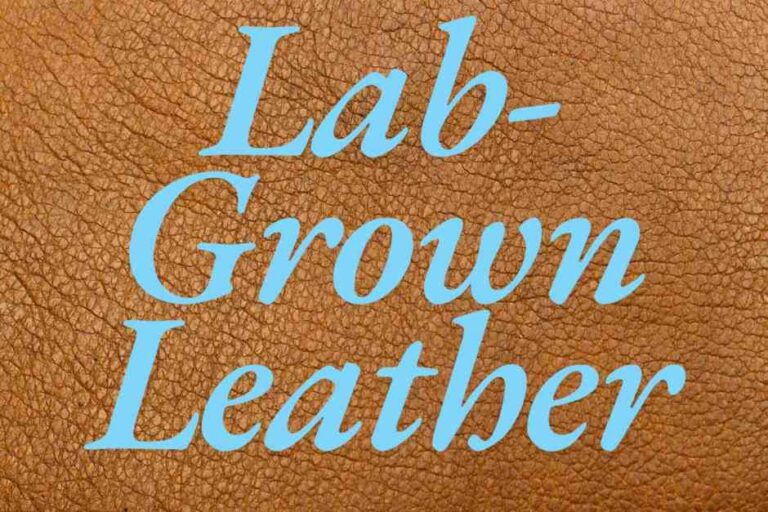 Lab Grown Leather