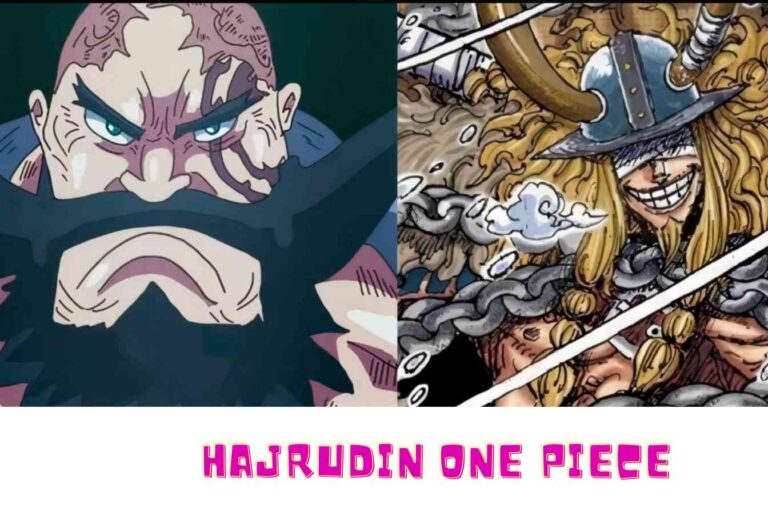 Hajrudin One Piece